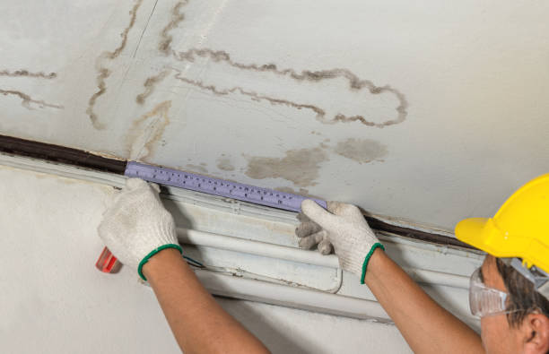 Reliable Burst Pipe Cleanup contractor in Damascus, MD by Water Damage Irwin